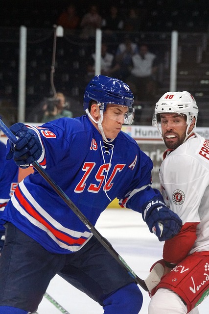 经变成了球 经变成了球